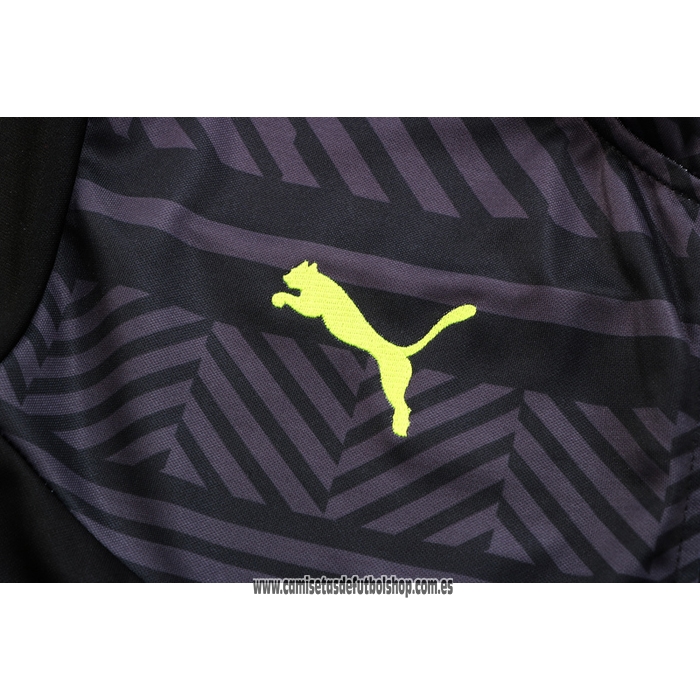 Chandal de Chaqueta del Borussia Dortmund 22-23 Gris